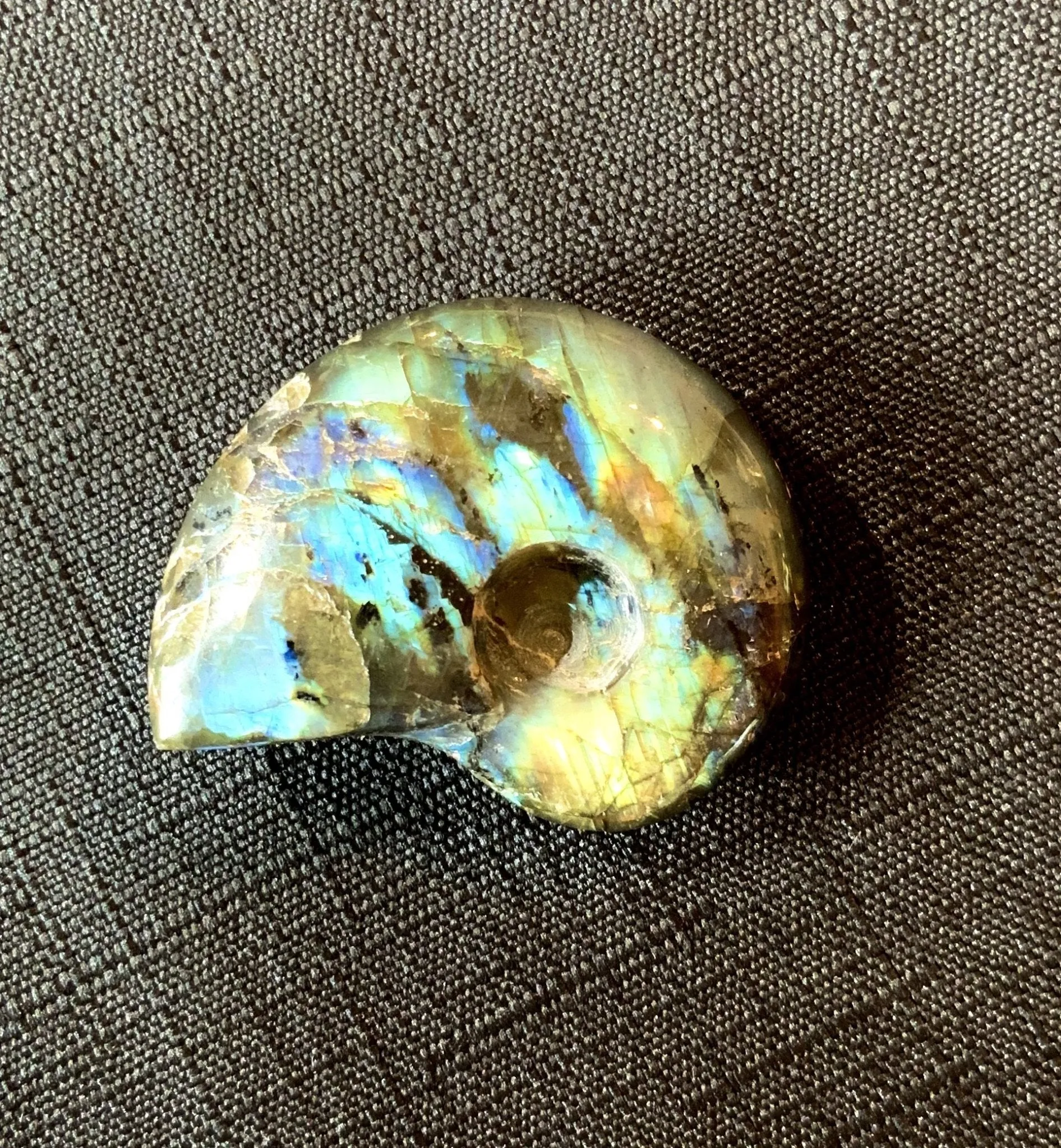 Carved Golden Blue Labradorite Ammonite