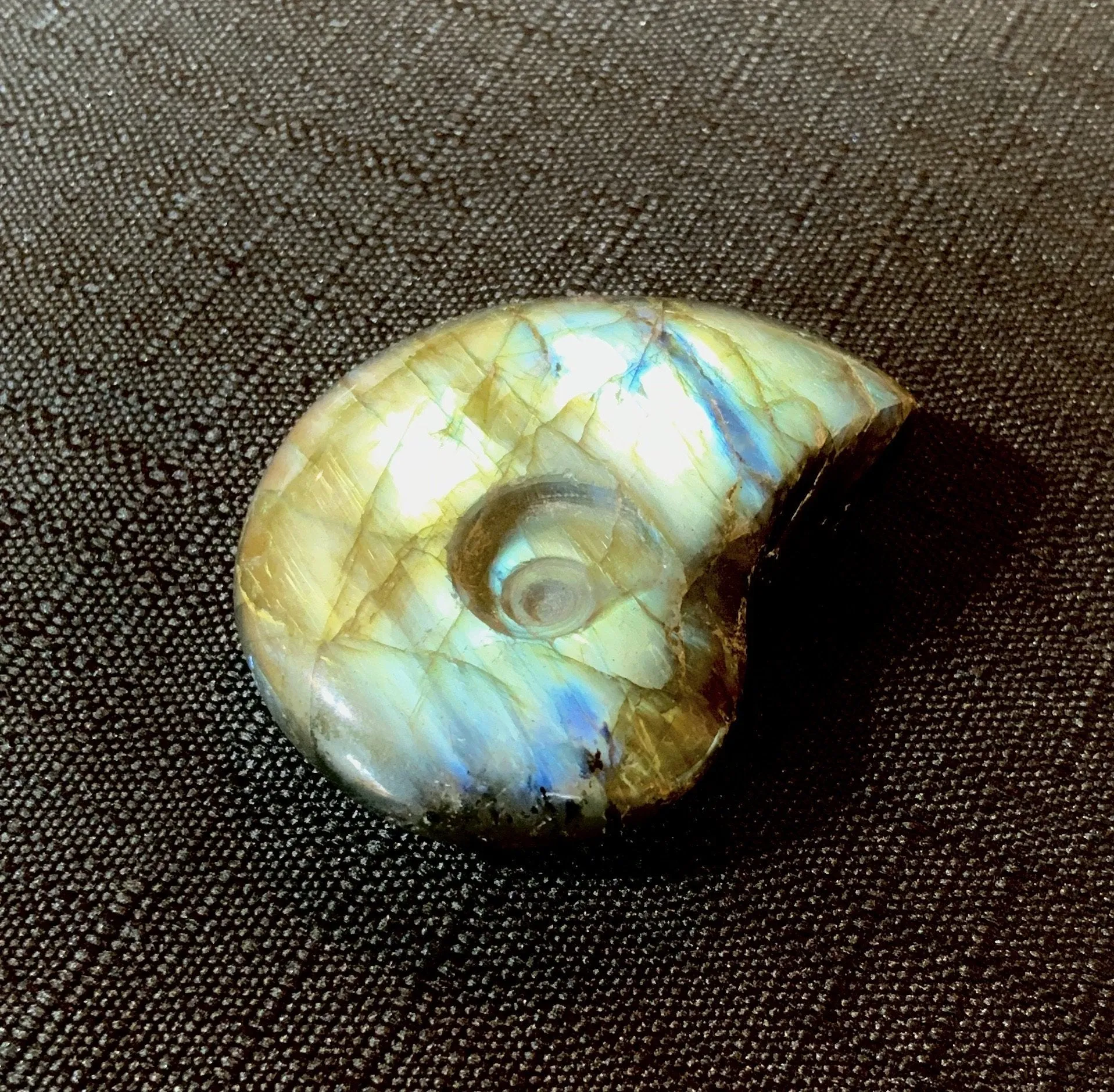 Carved Golden Blue Labradorite Ammonite