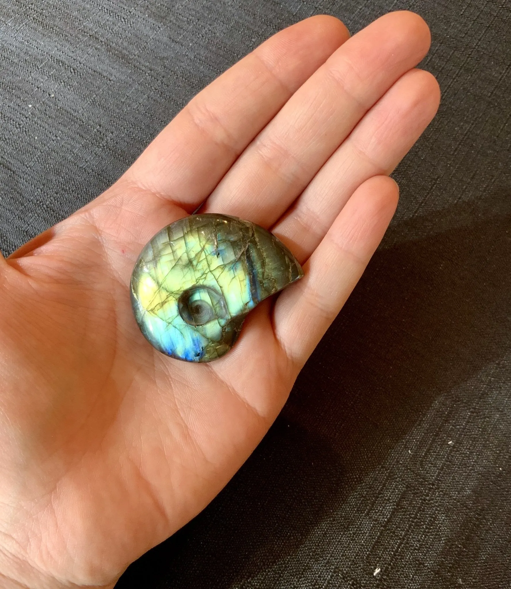 Carved Golden Blue Labradorite Ammonite