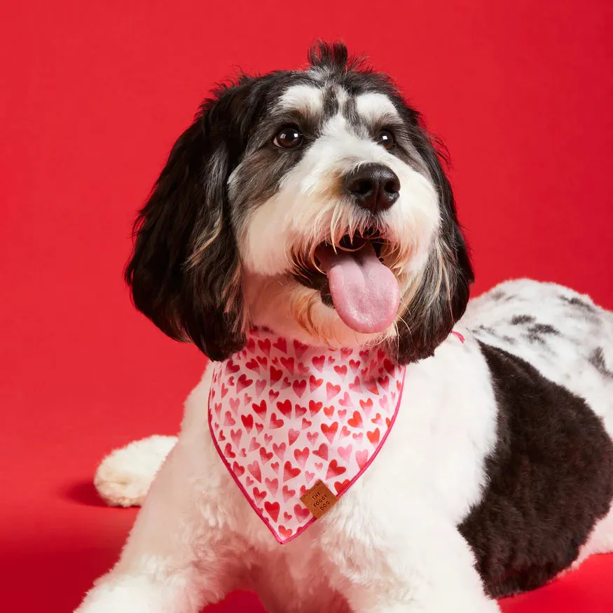 Heart Throb Dog Bandana