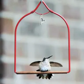 Hummingbird Swing