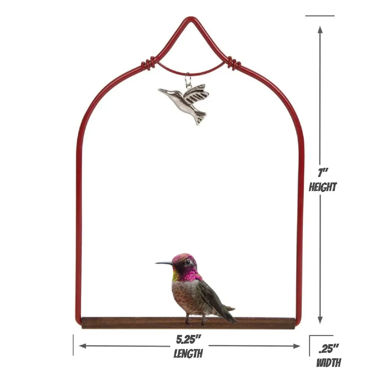 Hummingbird Swing