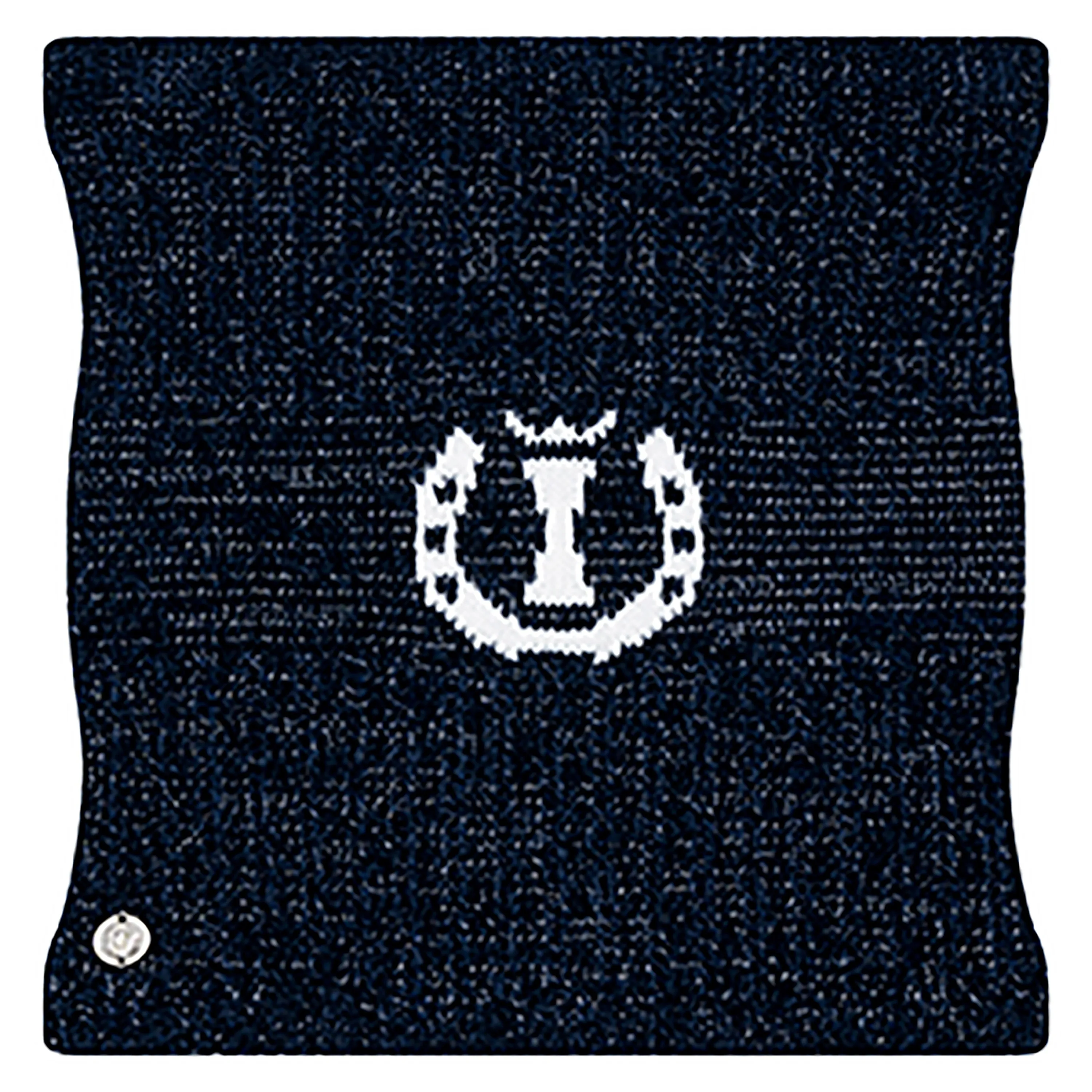 Imperial Riding Big Dusty Star Velvet Loop Scarf