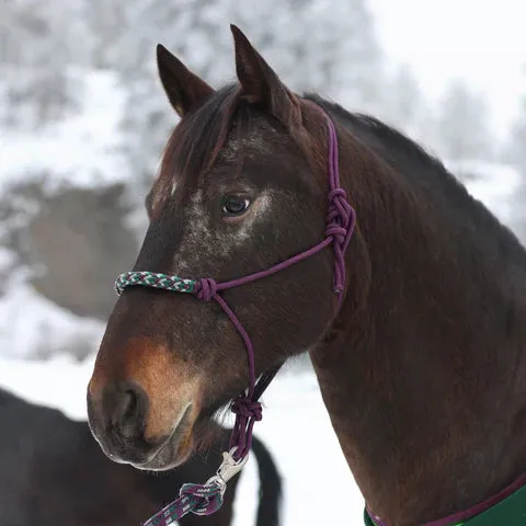 Kensington Clinician Rope Halter