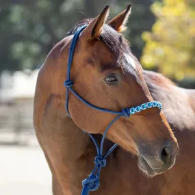 Kensington Clinician Rope Halter