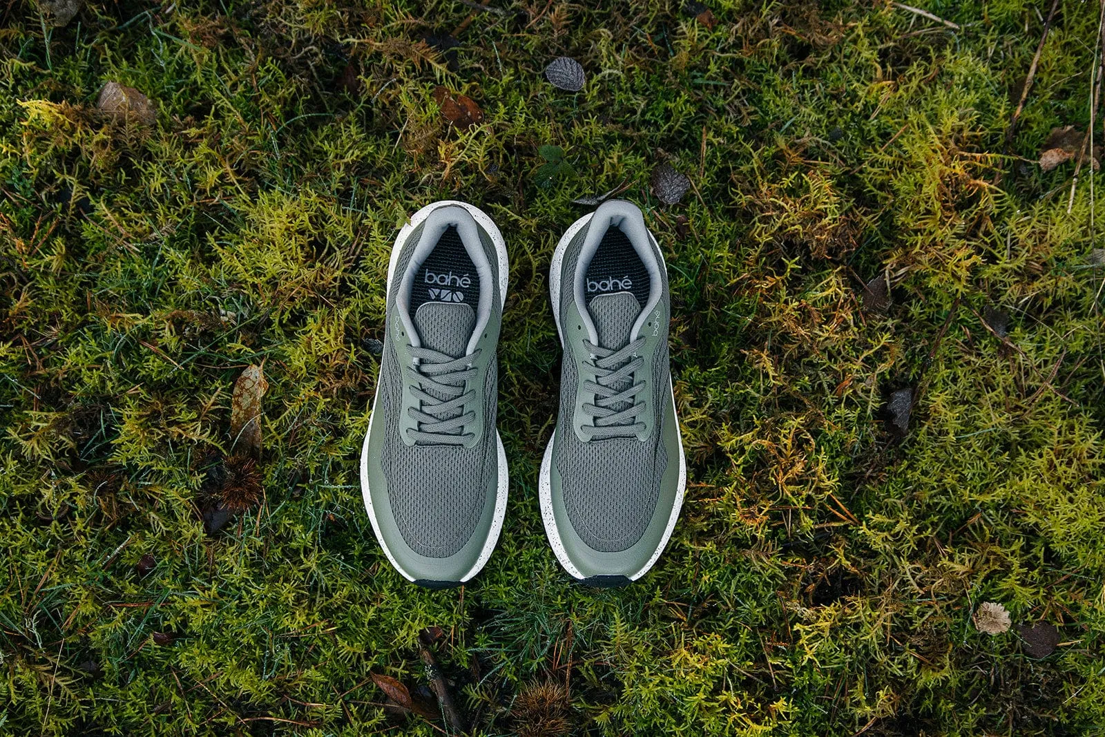 Men's Recharge Grounding Vegan Sneakers | Forest