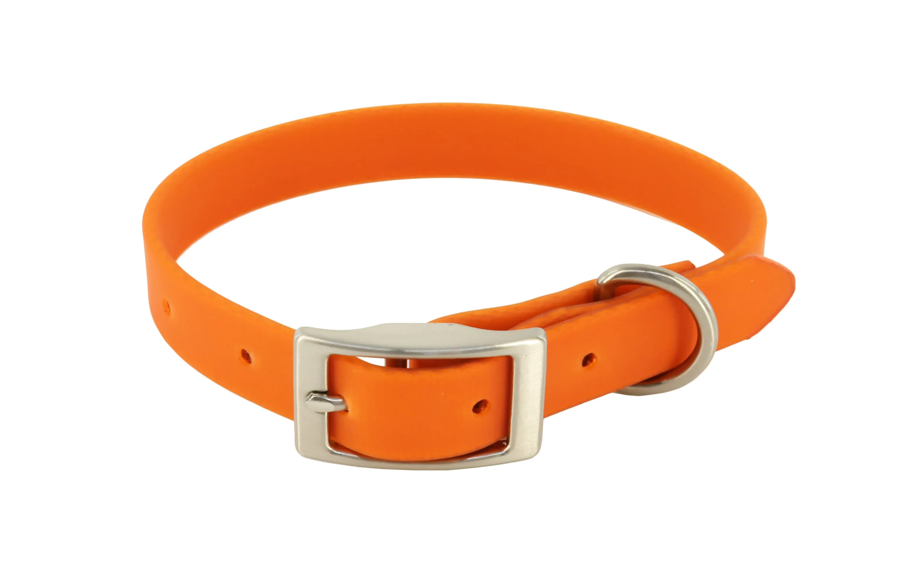 MuttNation Fueled by Miranda Lambert Waterproof Dog Collar Pumpkin 3/4 X 13-18