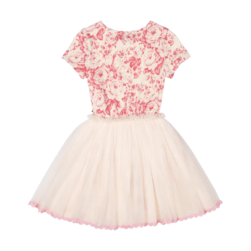 Rock Your Baby Floral Toile Circus Dress