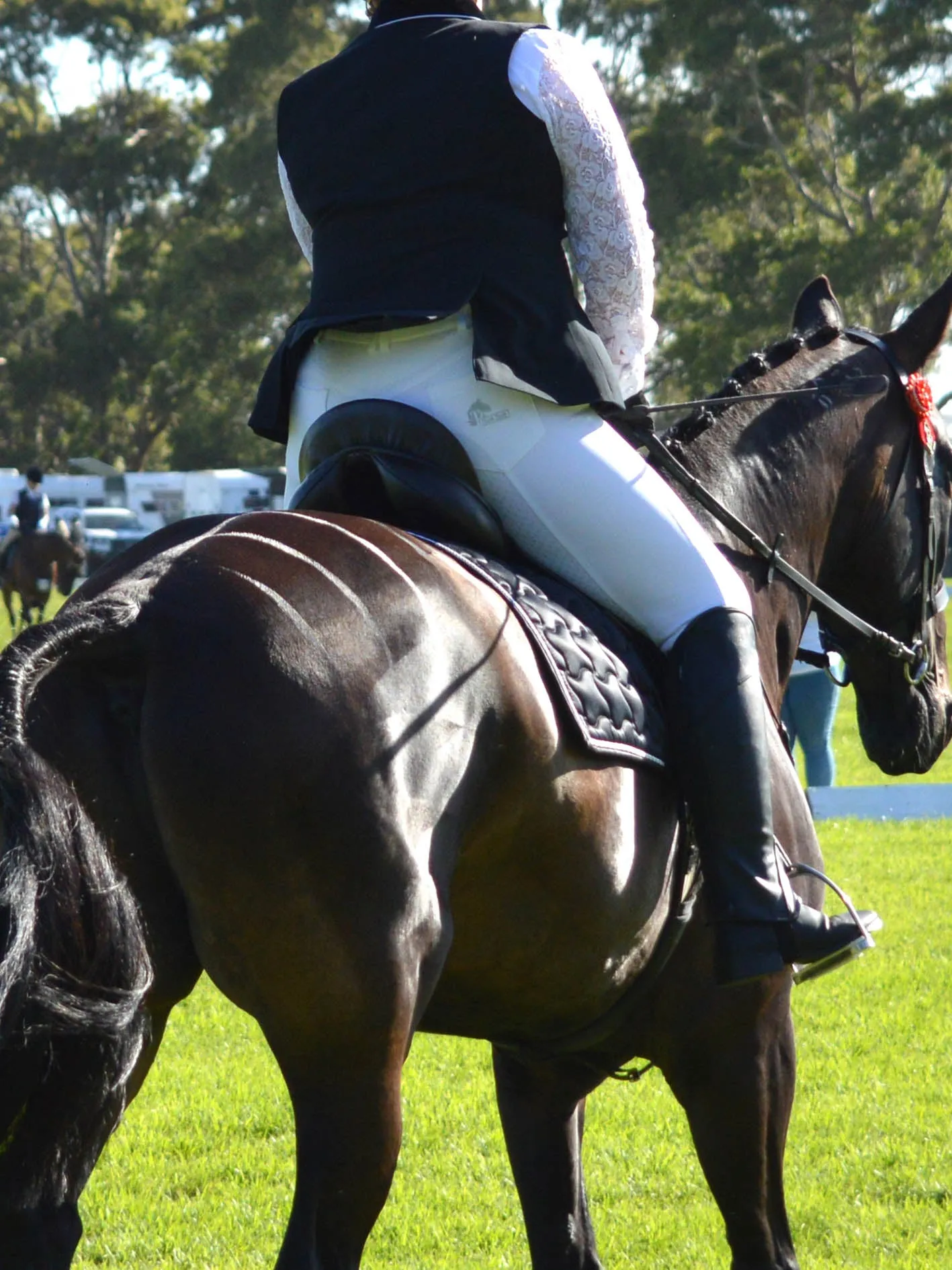 White Coolmax Breeches with or without Silicone seat grip